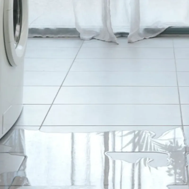 Appliance Leak Cleanup in Sabina, OH