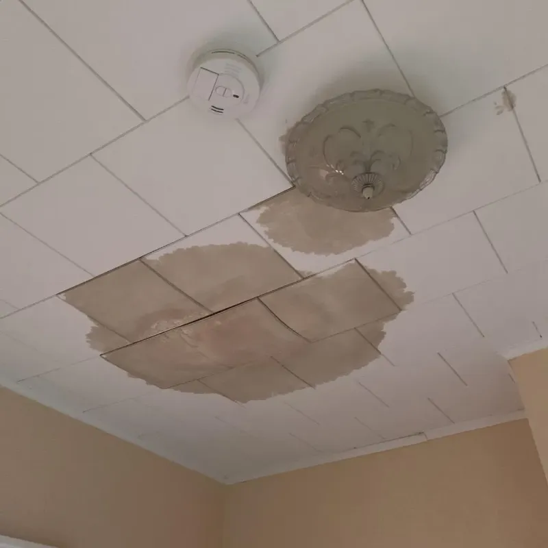 Ceiling Water Damage Repair in Sabina, OH