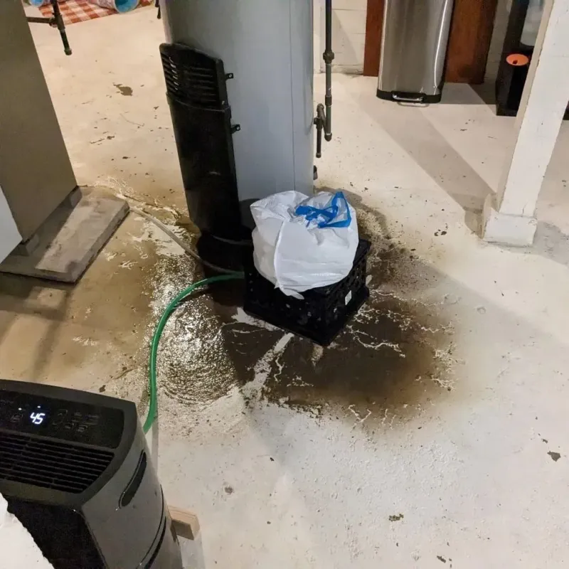 Sewage Backup Cleanup Service in Sabina, OH